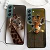 Giraffes Have Long Necks Phone Case For Samsung A17 A14 A24 A34 A54 A03S A04S A13 A23 A33 A53 A70 A50S A30 A40 A51 A41 A20E A73