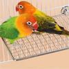 Moisture Proof Metal Grid Perch Stand Rust-Resistant Bird Rest Platform  Window Mount