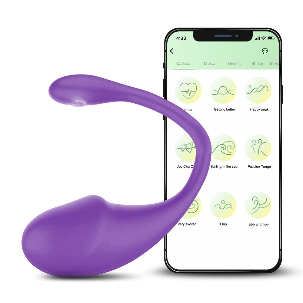 Wireless Bluetooth APP Control Vibratiors Wear Vibrating Stimulator Egg G Spot Dildo Vagina Massager For Women Adults Panties