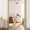 Funny Cat Hanging Swing Retractable Replaceable Attachments Smart Hanging Feather Automatic Lifting Easy Install
