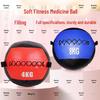 Zhan Ye Soft Medicine Ball