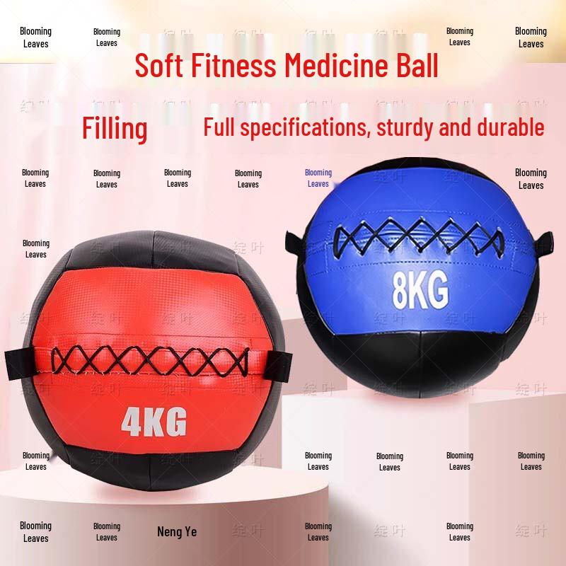 Zhan Ye Soft Medicine Ball