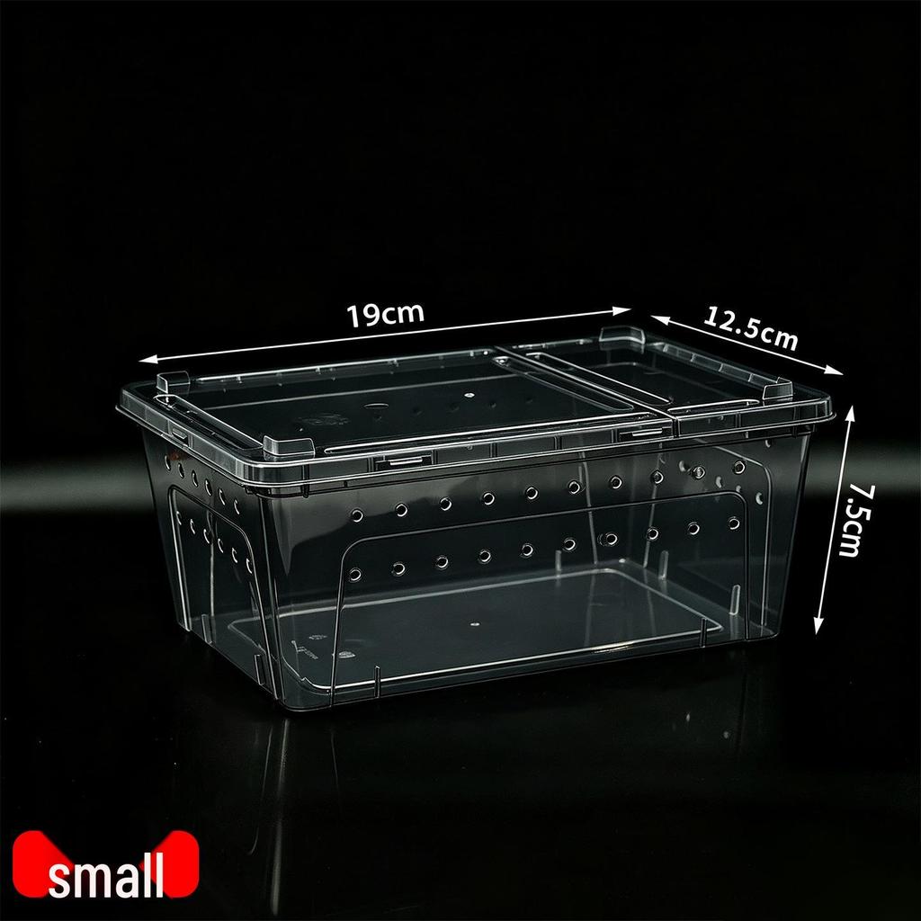 Reptile Tank: Versatile Habitat for Turtles, Silkworms, Spiders, Horned Frogs, Geckos, Lizards, and Snails