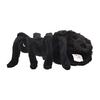 BH8489 HANSA Black Tarantula 19
