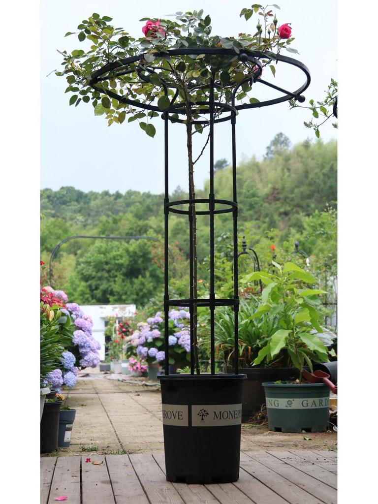 Mushroom-Head Flower Stand & Climbing Rose Support - Durable Plant Stand for Clematis and Roses