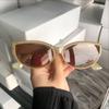 Cat Eye New Oval Sunglasses Personalized Vintage Fashion Trendy Female Girls Shades Popular Brand Designer Eyewear Lentes