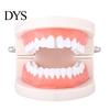 Teeth Protector Braces Heart Shape Cubic Zirconia Men Women Decoration Hip Hop Vertical Stick for Halloween Jewelry