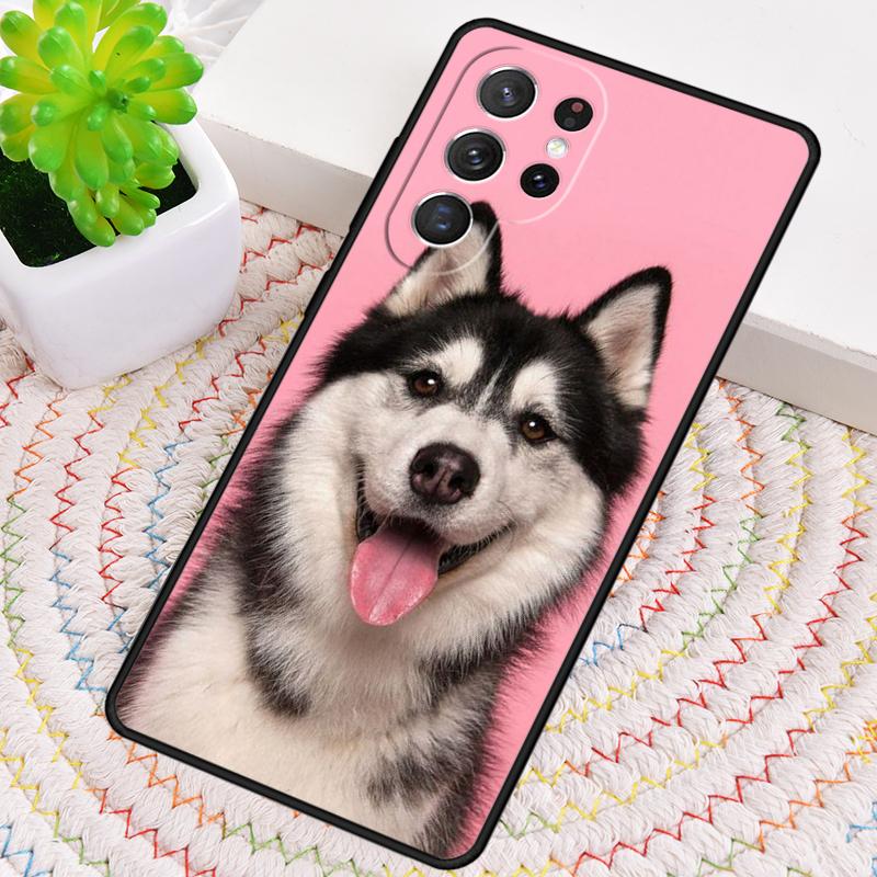 Siberian Husky Sled Dog TPU Phone Case For Samsung Galaxy Note 10 Pro S26 S25 S24 S23 S22 Ultra Plus S21 FE S20 Shockproof Cover