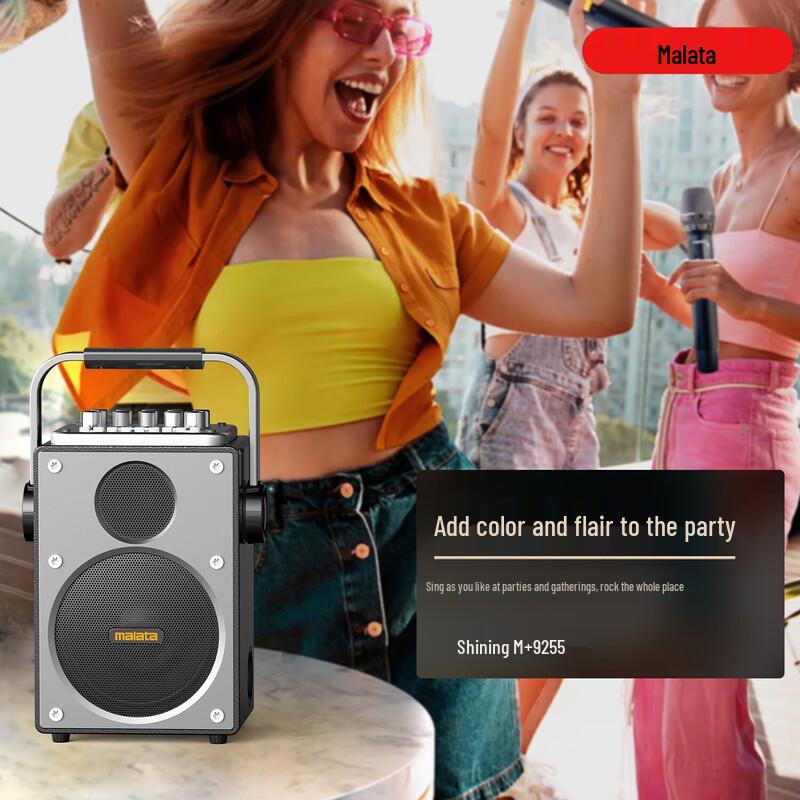 Malata M+9255 Outdoor Portable Bluetooth Karaoke Speaker CN plug (adapter included)