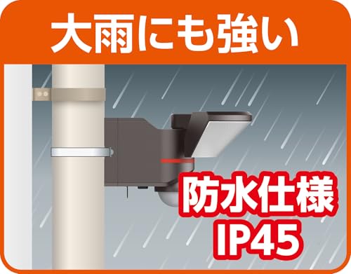 AC Sensor Light (1 Light) ESL-WY3001AC