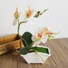 Butterfly Orchid Flower Home Office Decor with Flowerpot