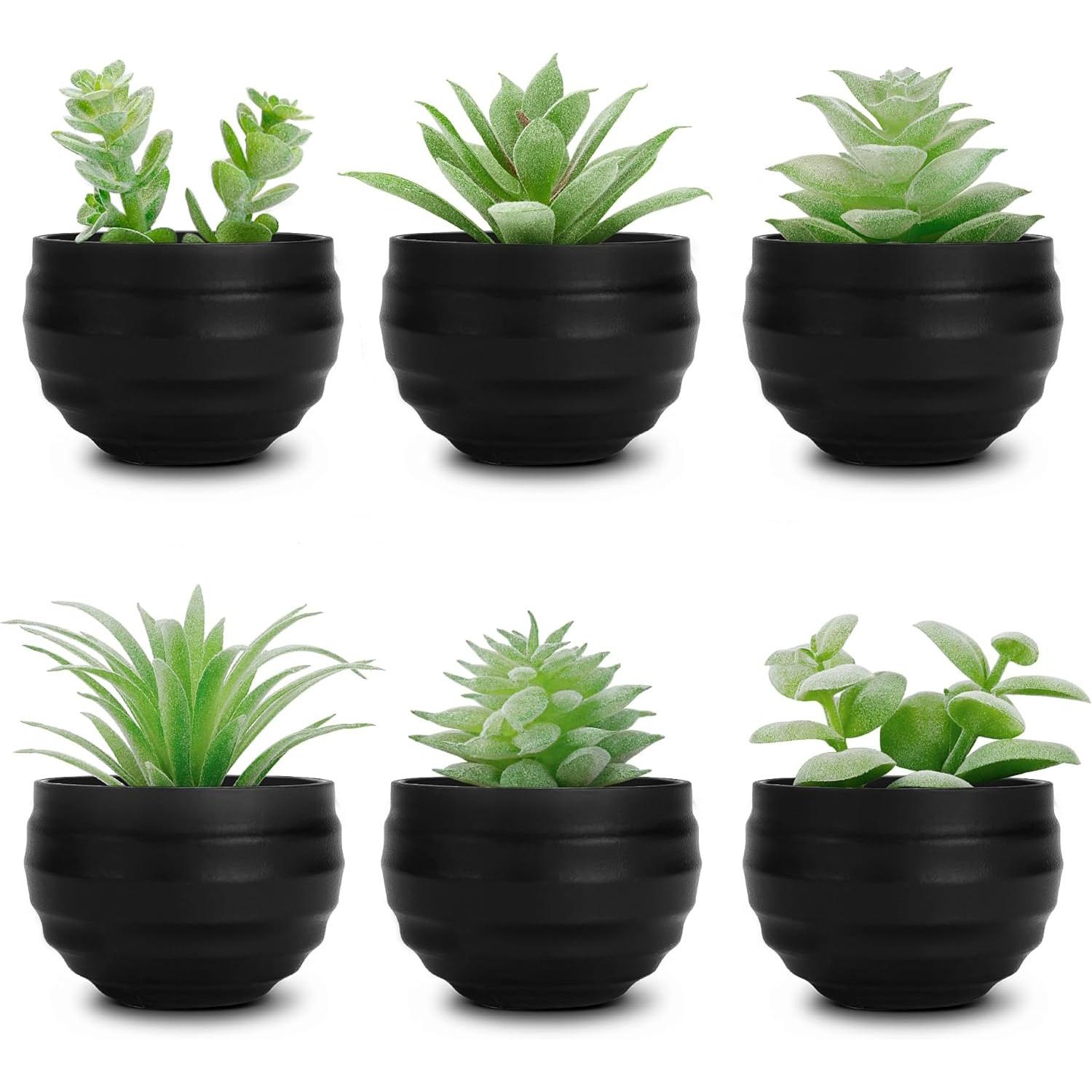 

Set of 6 Succulents Plants Artificial in Pots Small Fake Plants for Bedroom Aesthetic Living Room Shelf Bathroom Decor Office Desk Accessories чёрный