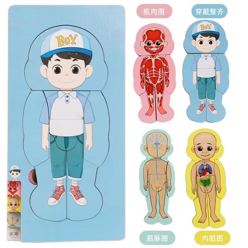 Children 3d Wooden Body Parts Puzzle Toy Anatomy Recognition Brain Development