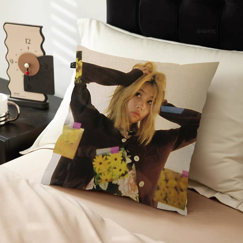 Singer BBeabadoobees Pillow Cover for Bedroom Room and Living Room Sofa Decorative Cushion Cover