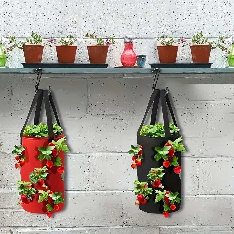 1pc Contemporary Geometric Pattern Plastic Plant Growing Bag, Wall Hanging Strawberry Planter, Lightweight, Indoor & Patio Use