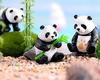 RemeeHi Panda Garden Miniature Mini Moss Landscape Unique Gift for Home or Office Plastic Miniature Animal Set of 4 Statues, Figurines, Accessories,