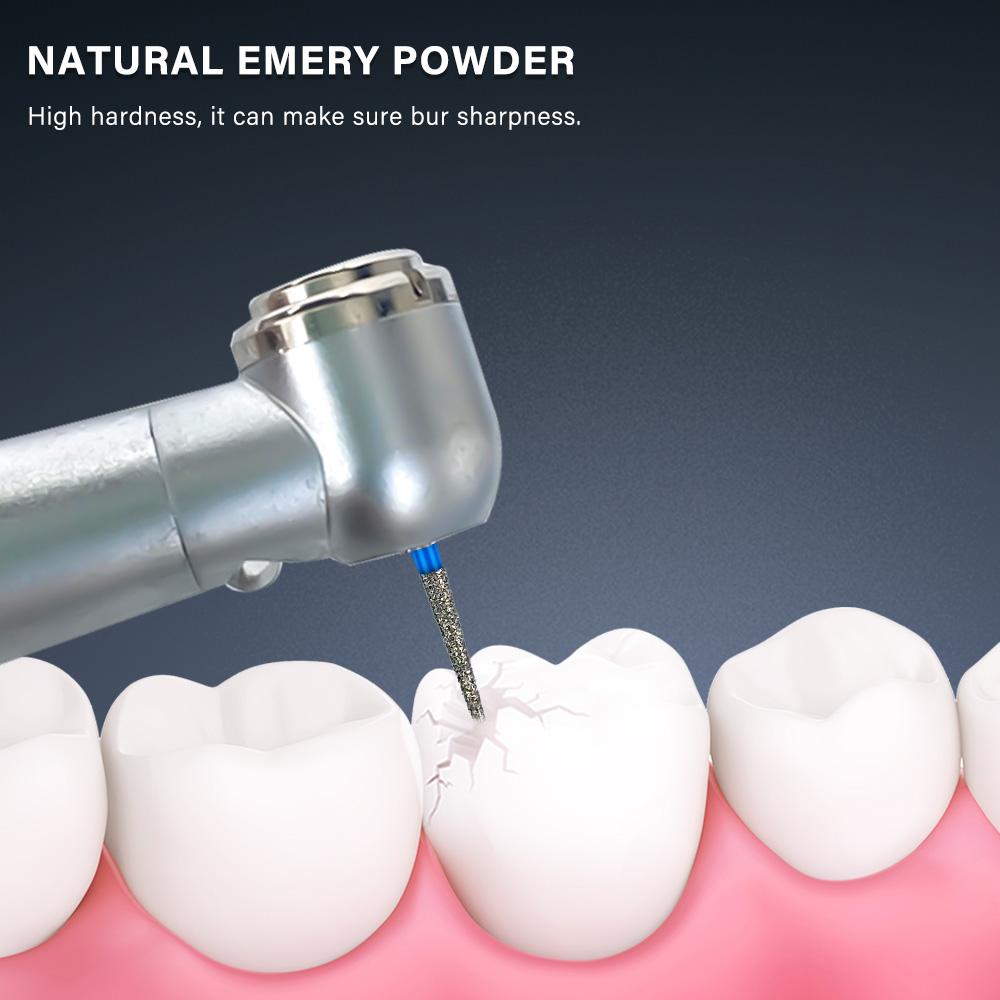 NICEDEN10 pcs/box Dental Diamond Burs FG 1.6mm For High Speed handpiece High Hardness Drill