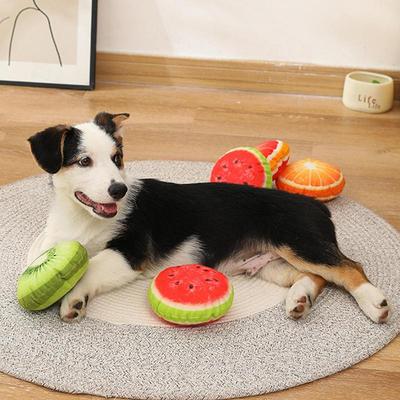 Hunde – Hundespielzeug