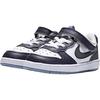 Nike Court Borough Low Recraft SE TD 'Platinum Tint Cave Purple'