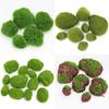 Artificial Plant Wall Accessories with Moss and Grass Decoration