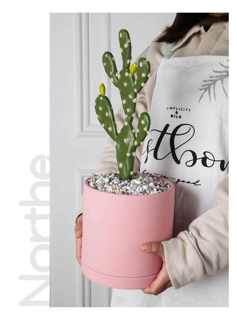 Morandi Colorful Ceramic Cylinder Flower Pots with Saucers for Indoor/Outdoor Plants