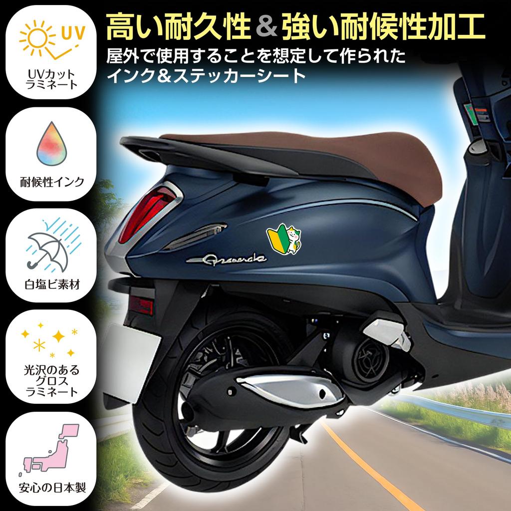 Beginner Mark, For Motorcycles, Cars, Cat Chick, Design, Sticker, Present, New Job, High School