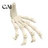 Festive Scary Home Decor Halloween Skeleton Hands, 3D Printed Hand Bones Model, Realistic Creative Holiday Atmosphere Spooky Bone Claw Prop for Party