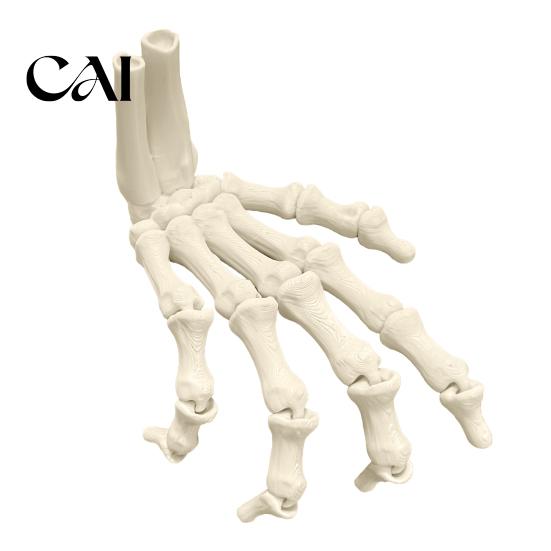 Festive Scary Home Decor Halloween Skeleton Hands, 3D Printed Hand Bones Model, Realistic Creative Holiday Atmosphere Spooky Bone Claw Prop for Party