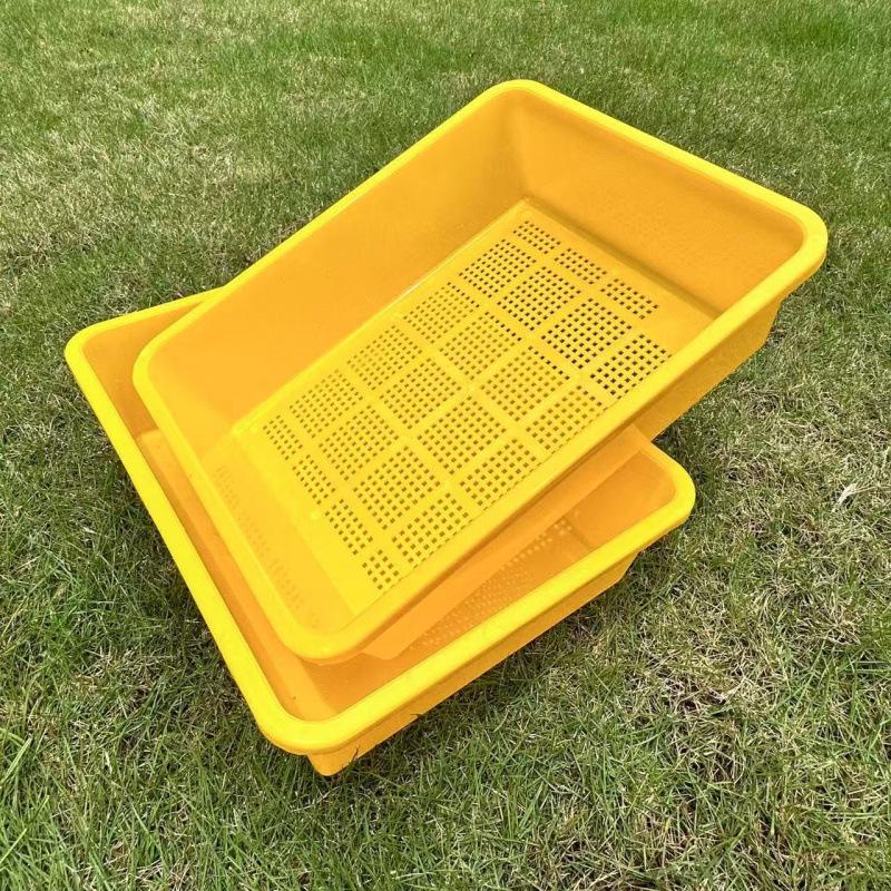 Upgraded XL Double-Layer Cat Litter Box with Turtle Design & Isolation Basin