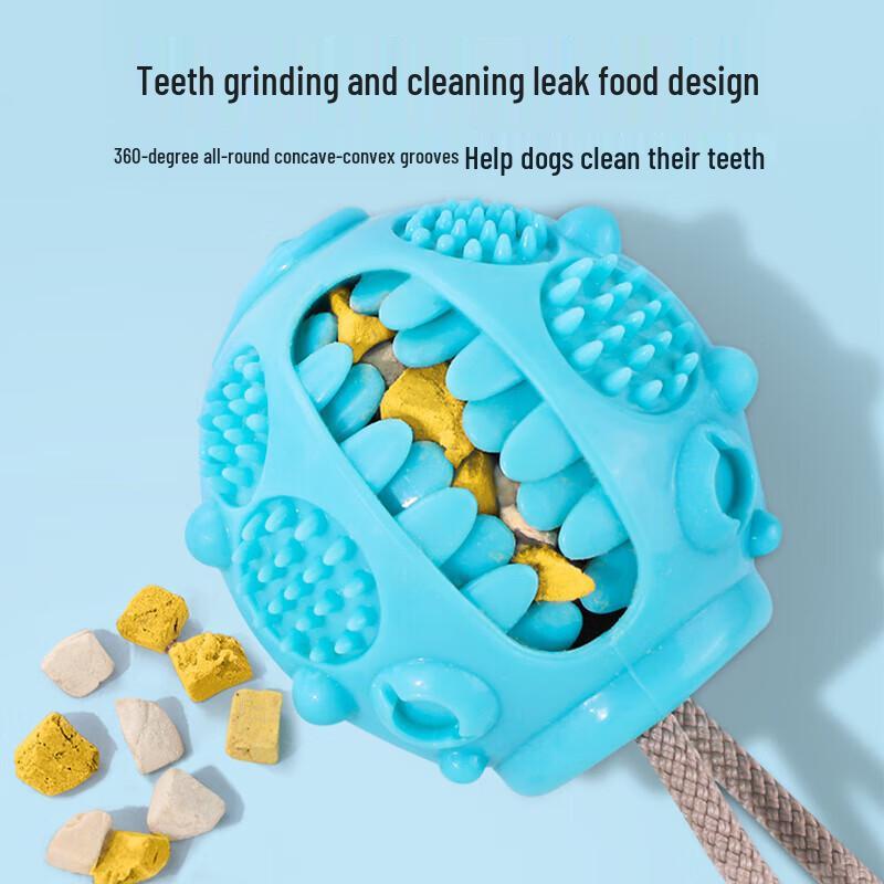 Dog Suction Cup Chew Toy