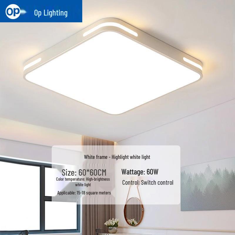 Ultra-Thin Minimalist LED Ceiling Light for Living Room, Dining Room, Bedroom - Modern Whole House Lighting Package