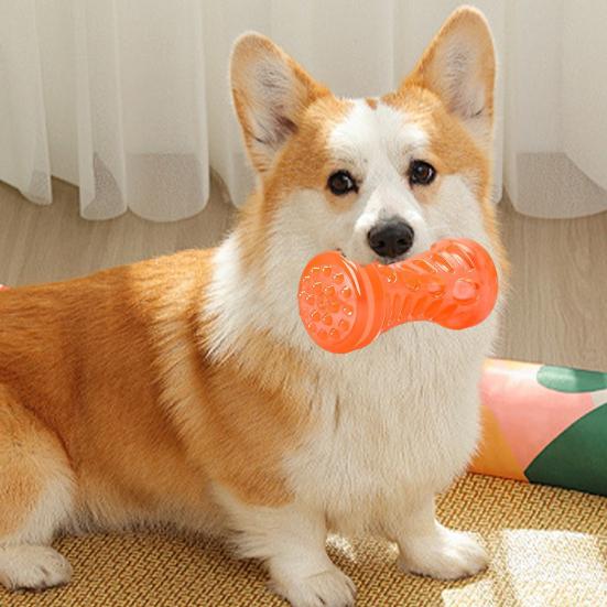 Dog Squeaky Toys Sound Interactive Chew Toy with 360° Thorny Texture for Teeth Cleaning
