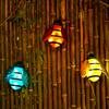 Cute Honey Outdoor Garden Fence Pio Christmas Lights