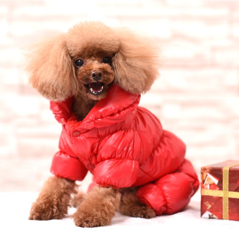 2025 Luxury Cute Xs-xxl Windproof Winter Warm and Soft Customized Dog Accessories Pet Clothes Small Dog Clothes for Puppy