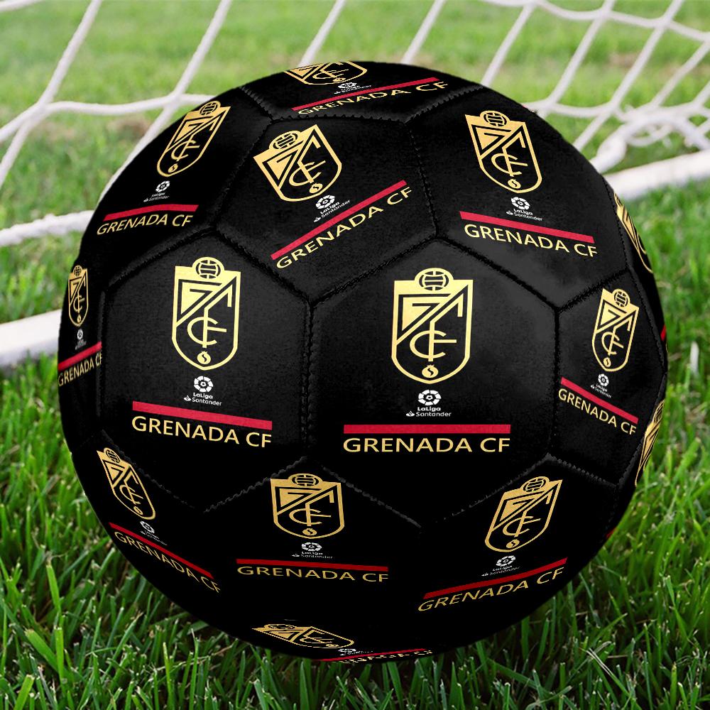 Global Unity And Strength Size 5 Soccer Ball,Indoor/Outdoor Suitable for Training Matches Tournaments Practice Games Perfect Gift for Fan