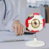 Abnehmbares anatomisches PVC-Augapfelmodell 6-fach vergrößertes menschliches Augapfel-Anatomiemodell für klinische settings und Forschung