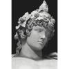 Greek Mythology Body Sculpture Poster Ancient Greek History Prints Canvas Painting Wall Art Pictures Home Living Room Decoration