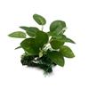 Aquarium Decoration: Simulated Driftwood, Seaweed, and Silk Leaves Ornaments
