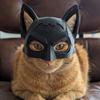 Cat Bat Mask Reusable Cat Cosplay Mask Lightweight Bat Kitty Mask for Halloween Parties Fun Photo Prop