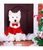 1 Set Costumi di Natale per Cani Abbigliamento Babbo Natale per Cani Vestito per Cucciolo Vestito Invernale Costume per Festa di Natale Abbigliamento per Cani con Fiocco
