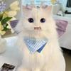 Îmbrăcăminte și încălțăminte – Accesorii pentru câini
