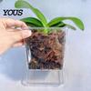 Orchid Planter for Phalaenopsis Clear with Saucer, Square Plant Pot Hydrophobic Succulents Drainage Holes, Transparent Flowerpot Phalaenopsis,