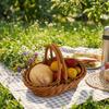 Household Bread Container Portable Faux Wicker Tray Fruit Storage Baskets  Restaurant Use