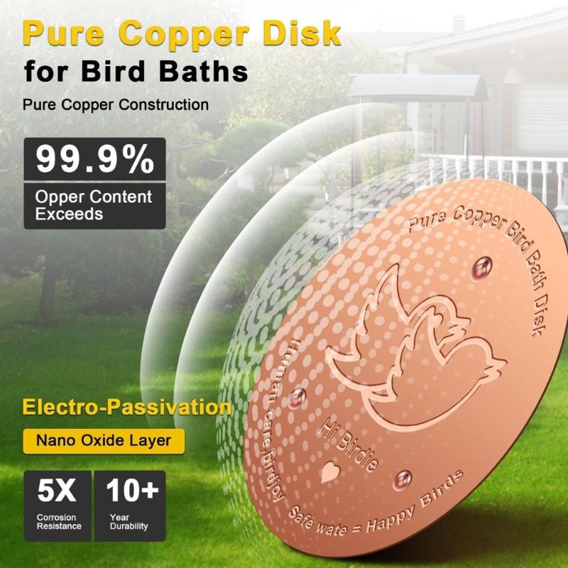 Coppers Cleaning Plate For Birdbaths Eliminates Frequent Maintenance Saves 120 Minutes Monthly