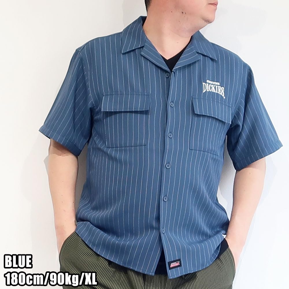 Dickies Men's Short Sleeve Shirt, Striped, Open Collar, Blue, Black, Casual, Sizes M, L, XL, 10001912 (JP, Alphabet, XL, BLUE)