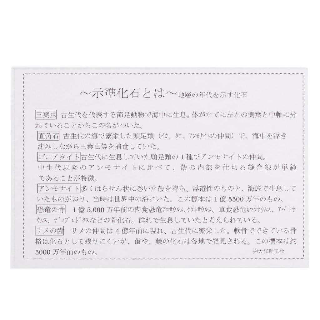 Oherikosha Specimen 6 Index Fossil Species Book-Type Set