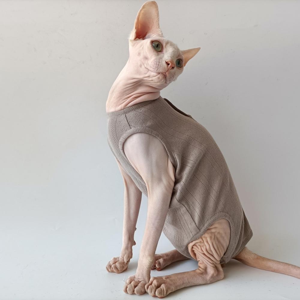 Sphynx Cat Clothes Summer 4-legged Cotton Pajamas Wound Anti-mite Sterilization for Female Cat Surgical Recovery Suit For Kitten