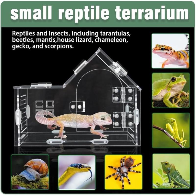 Reptilien Terrarium für Springspinnen Schlange Mit Klarem Beobachtungsdesign Und Sicheren Befestigungen Für Amphibien Lebensräume Box