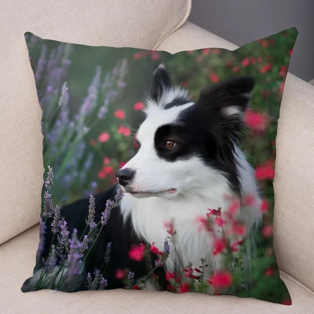 Cute Scottish Border Collie Pillowcase Dog Print Decor Pet Animal Cushion Cover Sofa