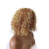 Ladies' Gradient Color Short Curly Hair Small Roll Wig